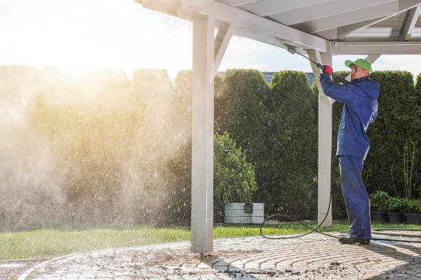 Best Solar Panel Cleaning  in Blue Mountain, MS